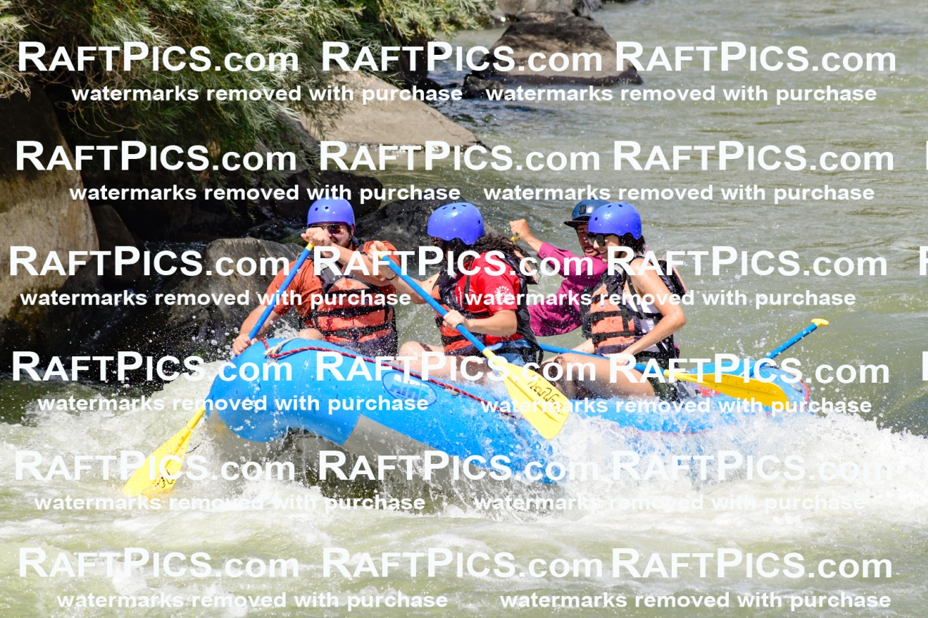 009977_Raftpics_August-25__NEW_WAVE__Racecourse_PM_KA_Rui