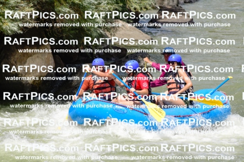 009978_Raftpics_August-25__NEW_WAVE__Racecourse_PM_KA_Rui