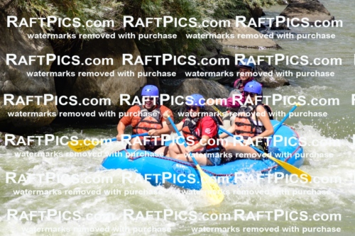 009980_Raftpics_August-25__NEW_WAVE__Racecourse_PM_KA_Rui