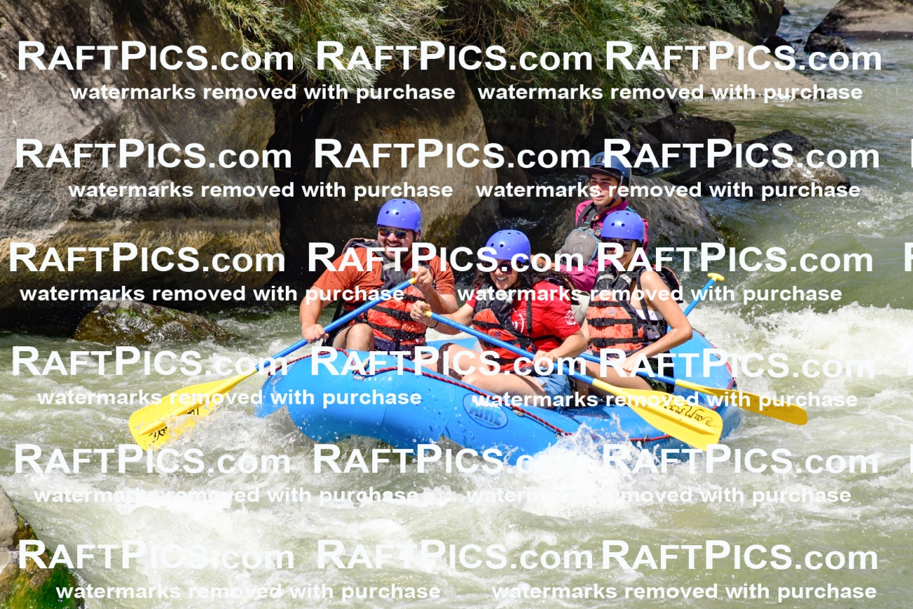 009981_Raftpics_August-25__NEW_WAVE__Racecourse_PM_KA_Rui