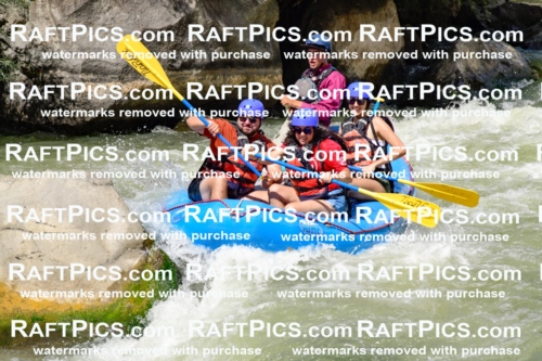 009984_Raftpics_August-25__NEW_WAVE__Racecourse_PM_KA_Rui