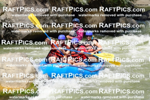 009985_Raftpics_August-25__NEW_WAVE__Racecourse_PM_KA_Rui