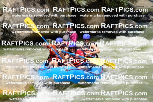 009986_Raftpics_August-25__NEW_WAVE__Racecourse_PM_KA_Rui