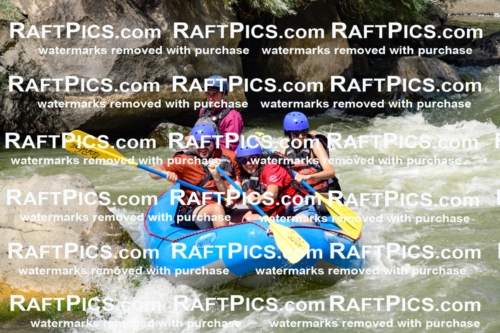 009987_Raftpics_August-25__NEW_WAVE__Racecourse_PM_KA_Rui