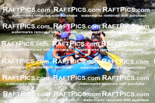 009988_Raftpics_August-25__NEW_WAVE__Racecourse_PM_KA_Rui