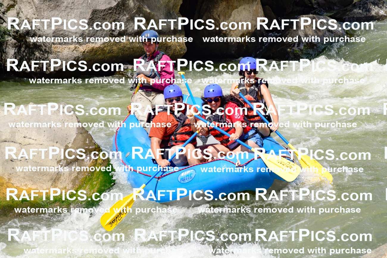 009989_Raftpics_August-25__NEW_WAVE__Racecourse_PM_KA_Rui