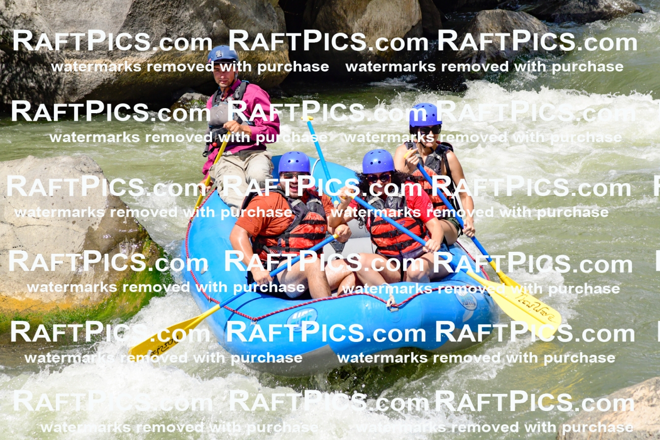 009991_Raftpics_August-25__NEW_WAVE__Racecourse_PM_KA_Rui