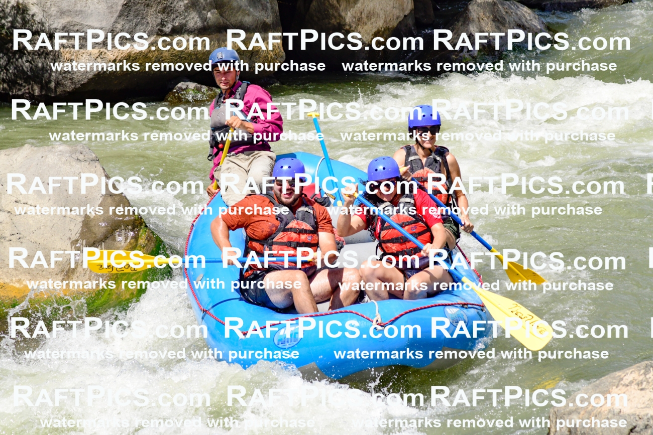 009992_Raftpics_August-25__NEW_WAVE__Racecourse_PM_KA_Rui