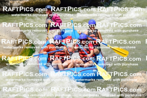 009993_Raftpics_August-25__NEW_WAVE__Racecourse_PM_KA_Rui