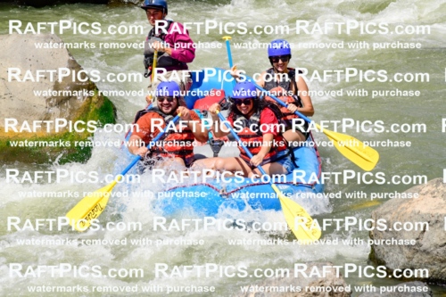 009994_Raftpics_August-25__NEW_WAVE__Racecourse_PM_KA_Rui