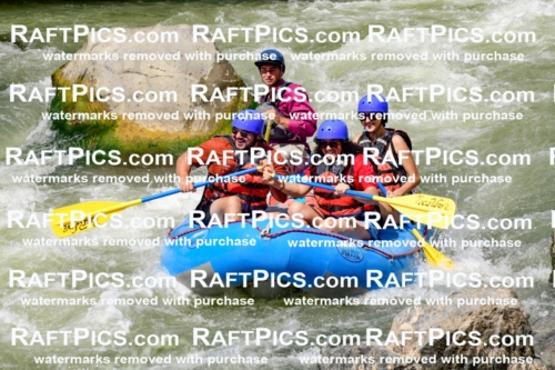 009998_Raftpics_August-25__NEW_WAVE__Racecourse_PM_KA_Rui