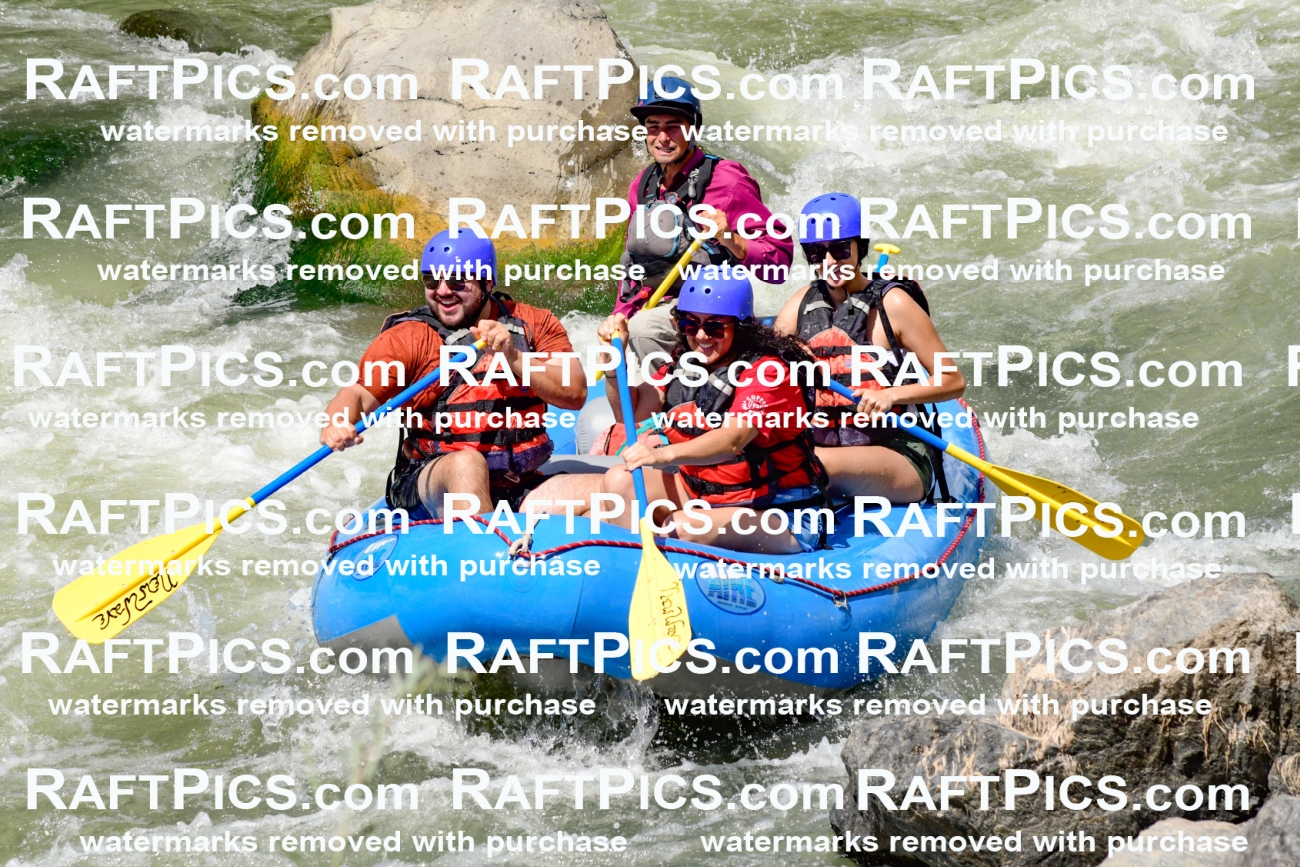 009999_Raftpics_August-25__NEW_WAVE__Racecourse_PM_KA_Rui