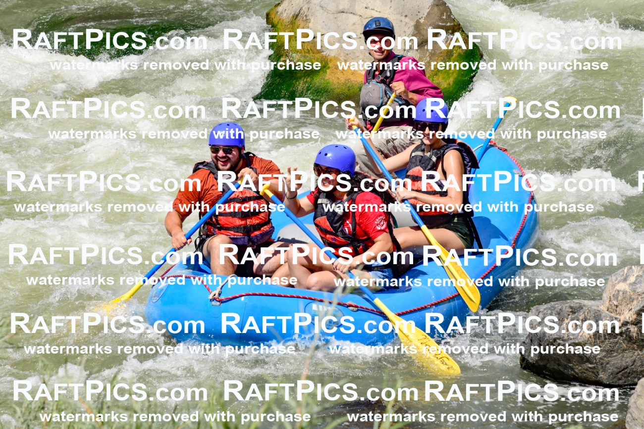 010002_Raftpics_August-25__NEW_WAVE__Racecourse_PM_KA_Rui