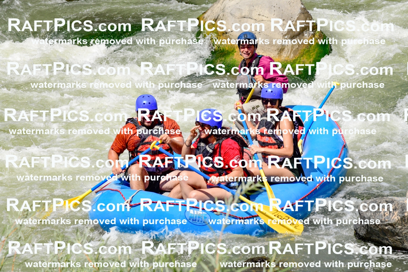 010003_Raftpics_August-25__NEW_WAVE__Racecourse_PM_KA_Rui