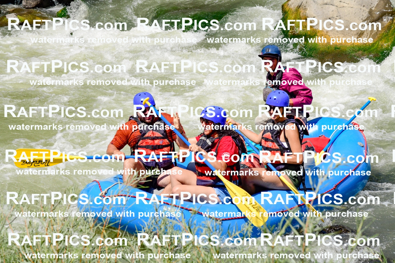 010006_Raftpics_August-25__NEW_WAVE__Racecourse_PM_KA_Rui