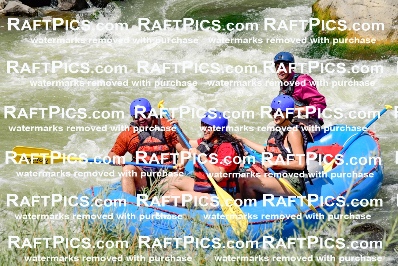 010007_Raftpics_August-25__NEW_WAVE__Racecourse_PM_KA_Rui