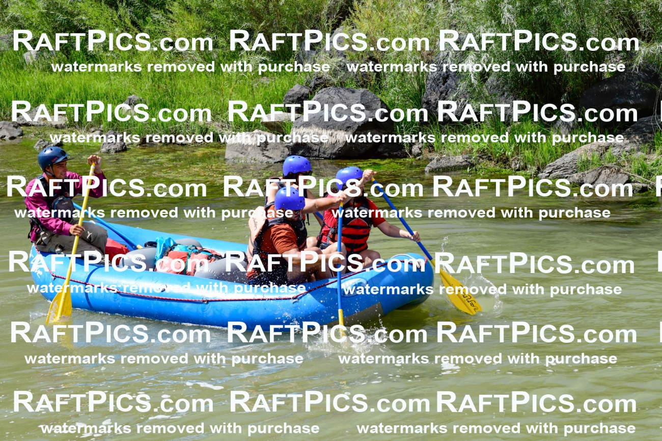 010008_Raftpics_August-25__NEW_WAVE__Racecourse_PM_KA_Rui