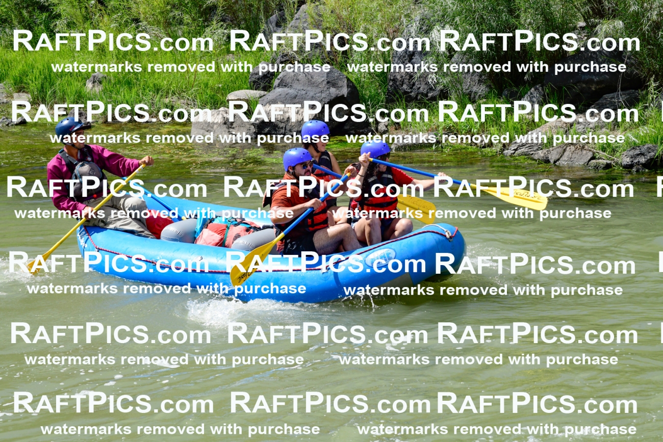 010009_Raftpics_August-25__NEW_WAVE__Racecourse_PM_KA_Rui