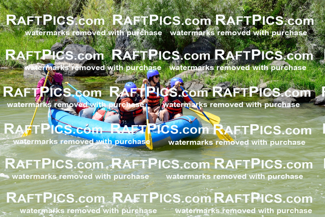 010010_Raftpics_August-25__NEW_WAVE__Racecourse_PM_KA_Rui