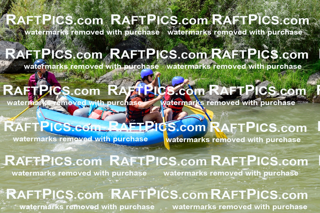 010011_Raftpics_August-25__NEW_WAVE__Racecourse_PM_KA_Rui