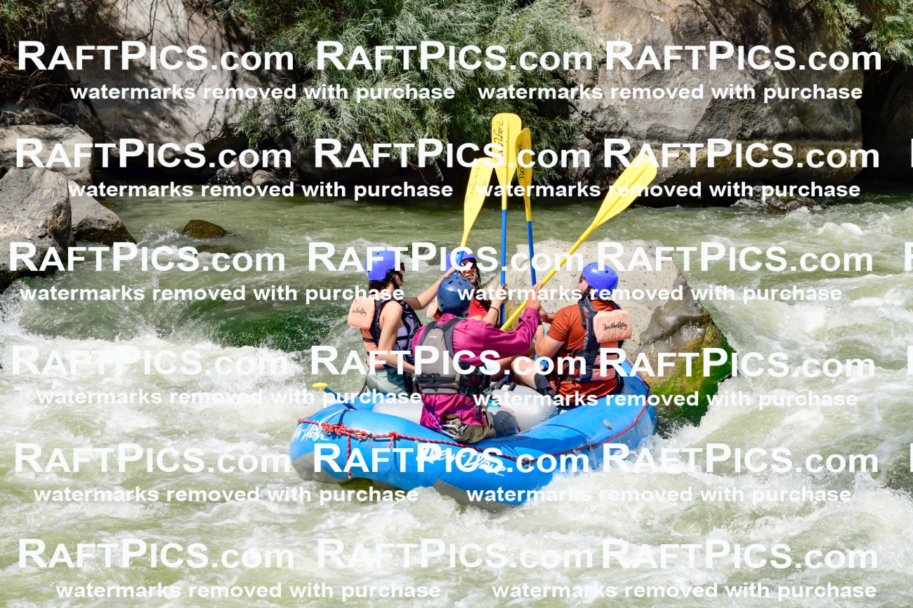 010012_Raftpics_August-25__NEW_WAVE__Racecourse_PM_KA_Rui