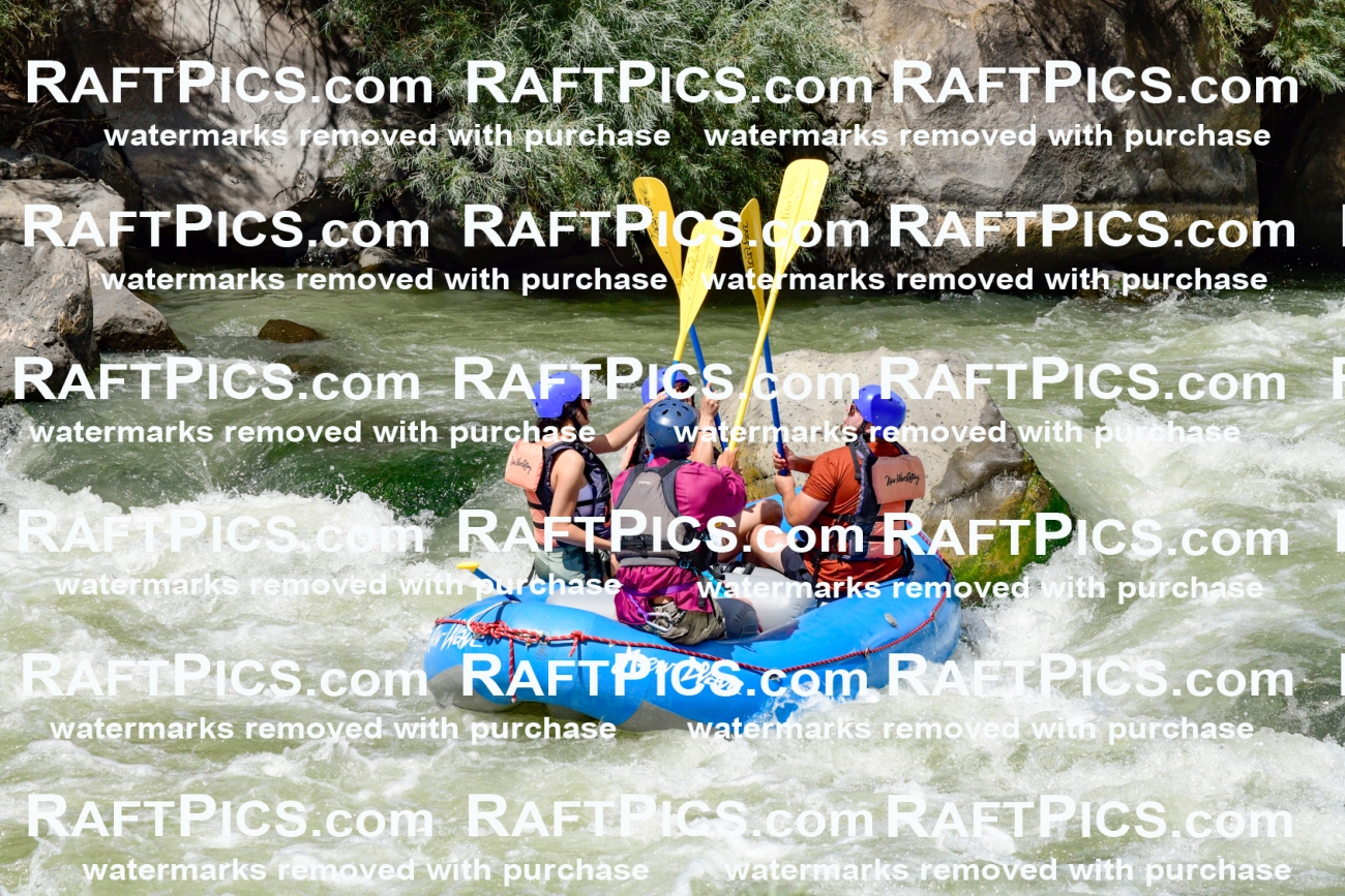 010013_Raftpics_August-25__NEW_WAVE__Racecourse_PM_KA_Rui