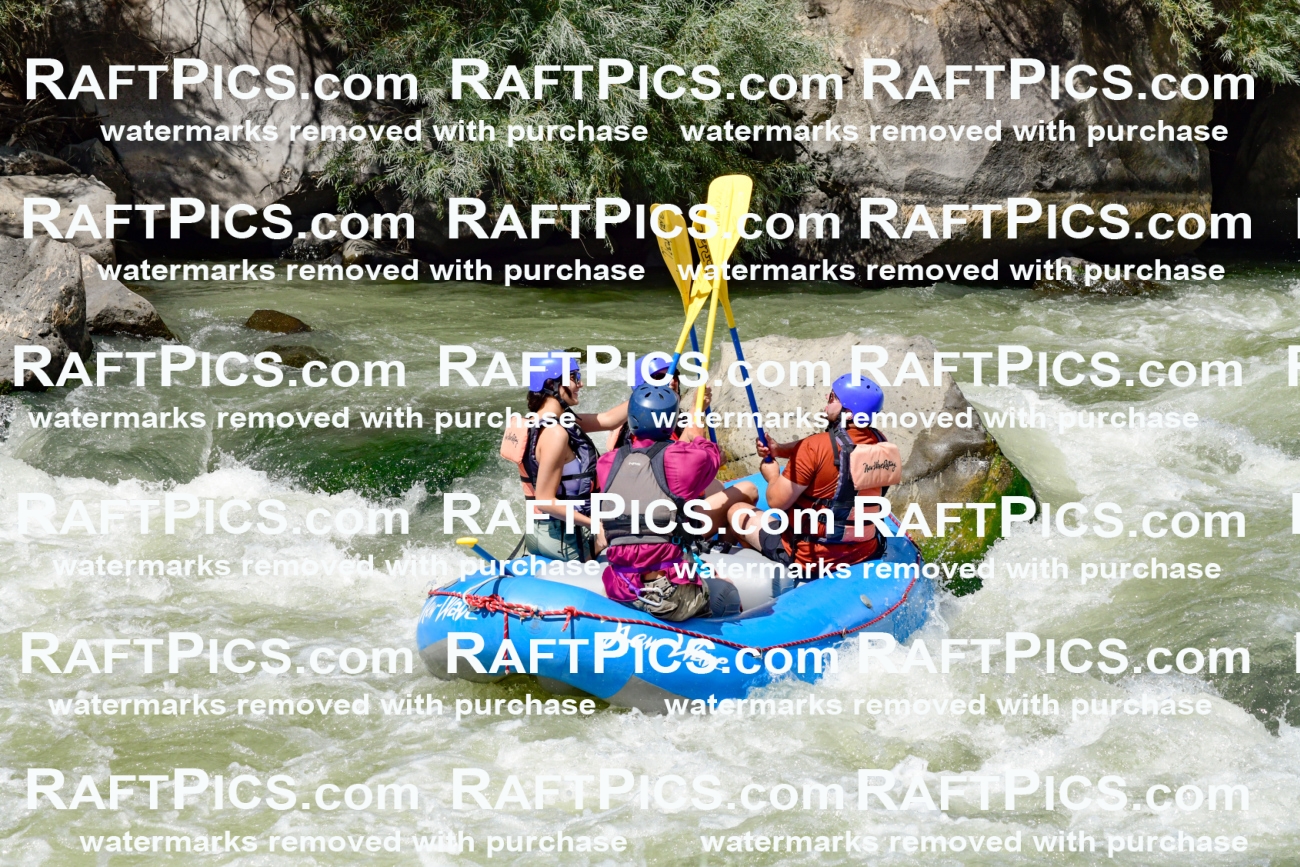 010014_Raftpics_August-25__NEW_WAVE__Racecourse_PM_KA_Rui