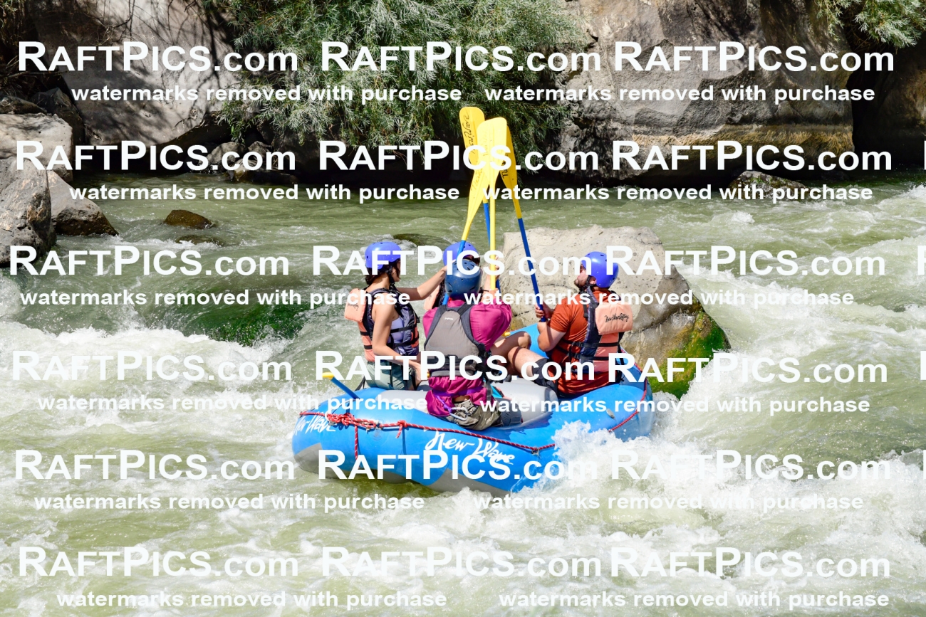 010015_Raftpics_August-25__NEW_WAVE__Racecourse_PM_KA_Rui