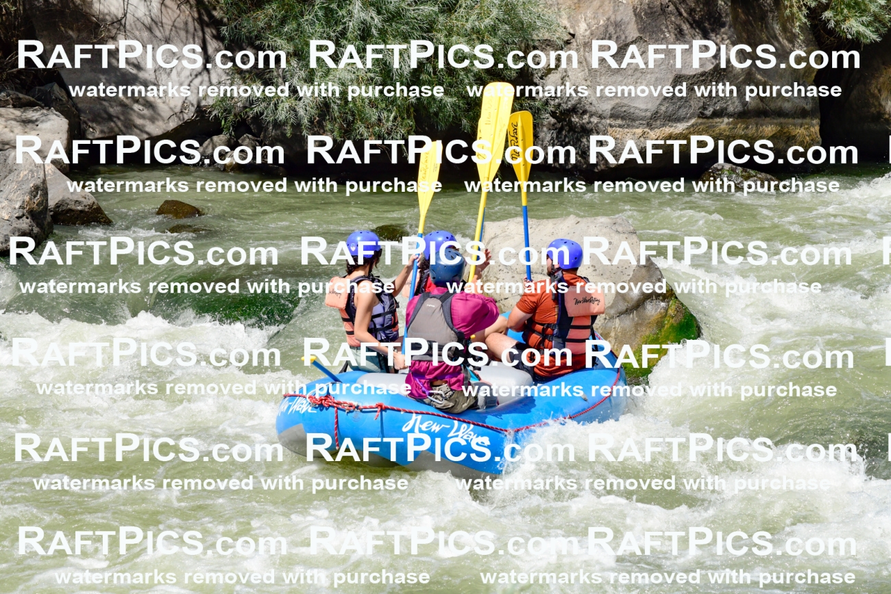 010016_Raftpics_August-25__NEW_WAVE__Racecourse_PM_KA_Rui