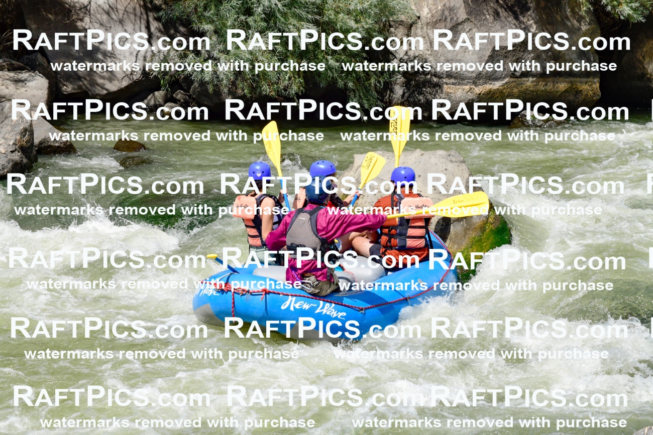 010017_Raftpics_August-25__NEW_WAVE__Racecourse_PM_KA_Rui