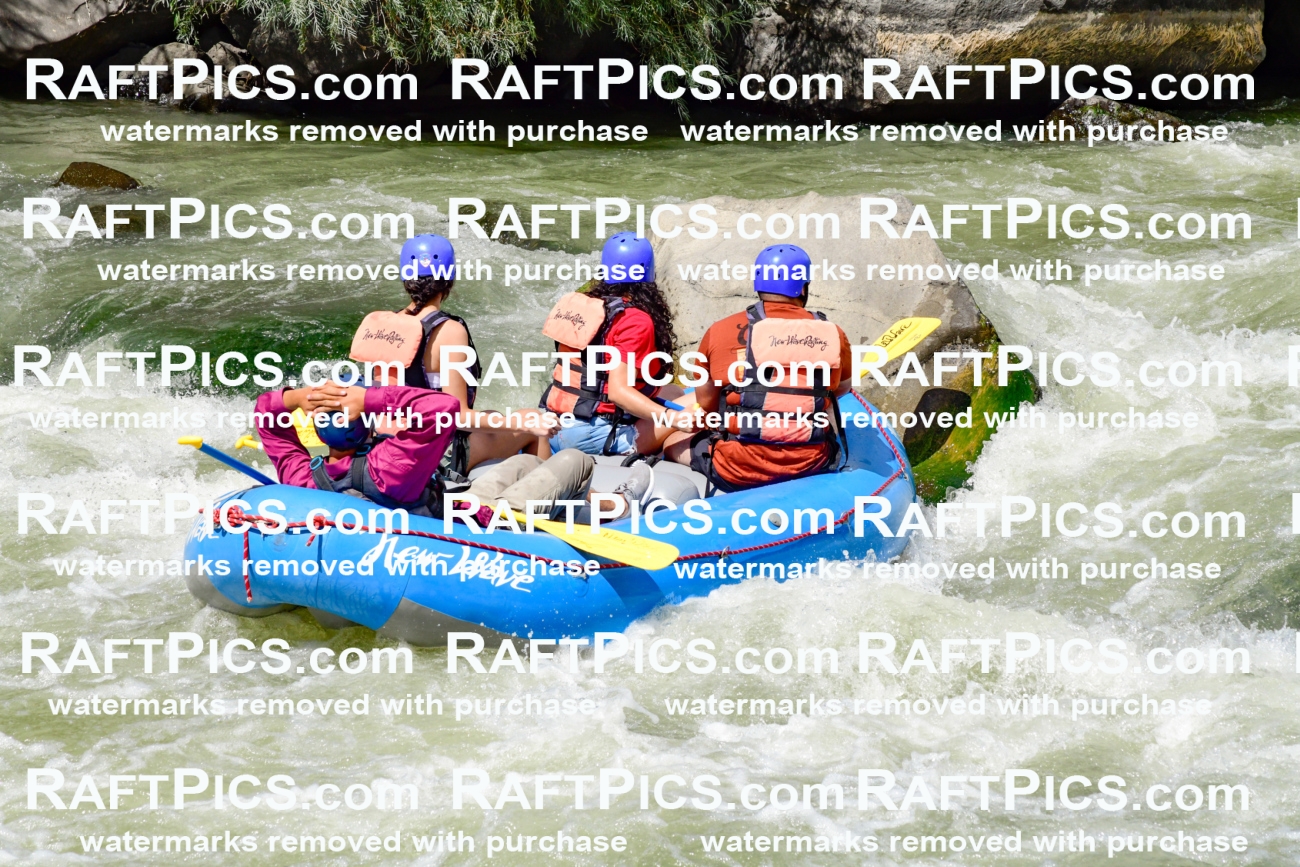 010018_Raftpics_August-25__NEW_WAVE__Racecourse_PM_KA_Rui