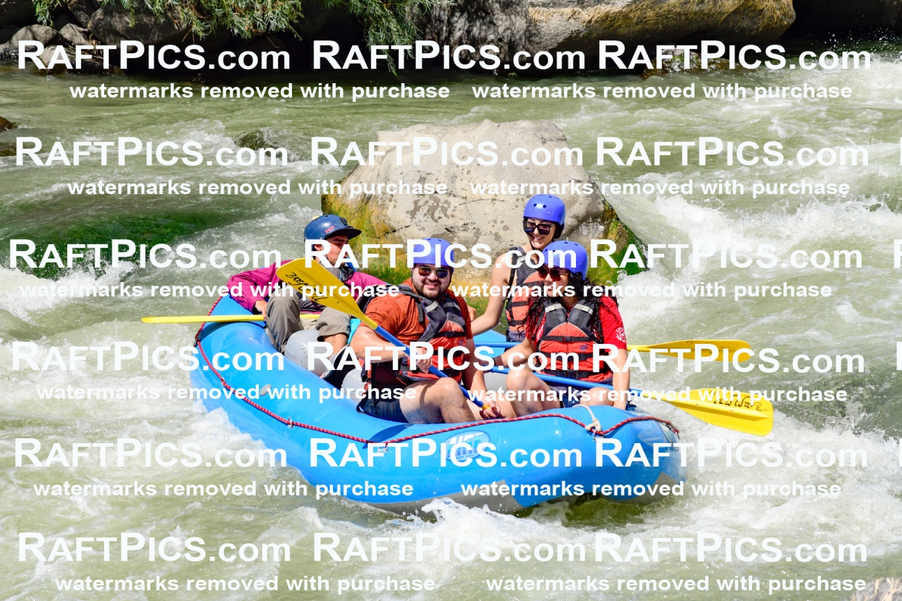 010020_Raftpics_August-25__NEW_WAVE__Racecourse_PM_KA_Rui