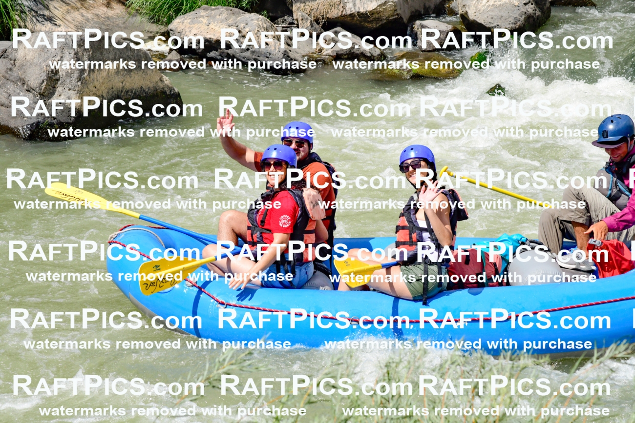 010023_Raftpics_August-25__NEW_WAVE__Racecourse_PM_KA_Rui