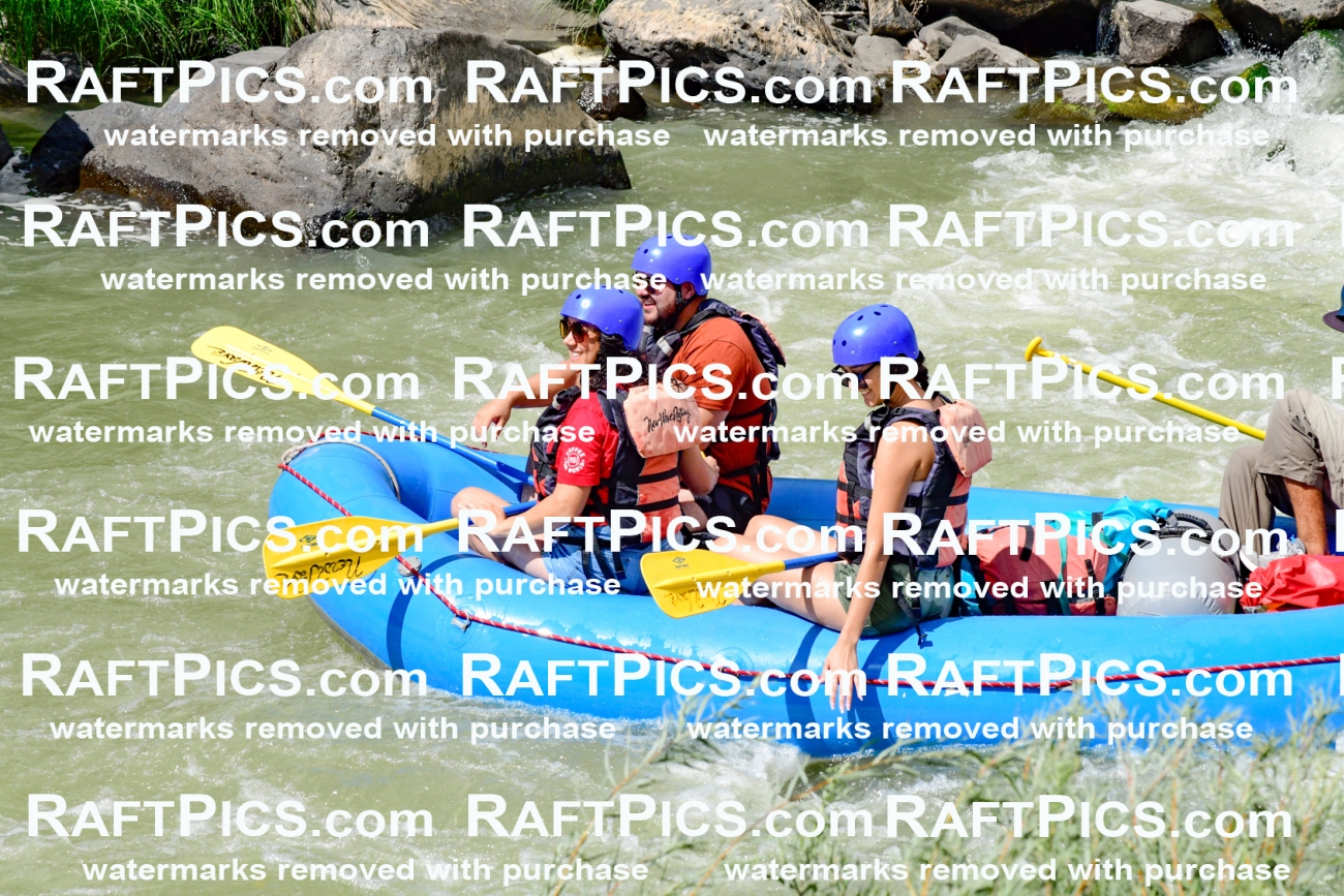 010024_Raftpics_August-25__NEW_WAVE__Racecourse_PM_KA_Rui