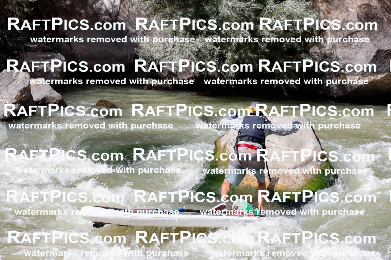 029672_RaftPics_August_22_NewWave_Guides_TC_