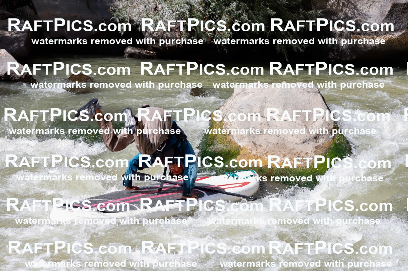 029677_RaftPics_August_22_NewWave_Guides_TC_