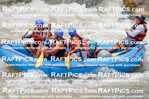 029733_RaftPics_August_27_NewWave_Racecourse_PM_Elias_TC_