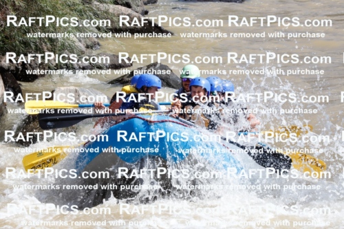 029758_RaftPics_August_28_NewWave_Racecourse_AM_Orlando_TC_