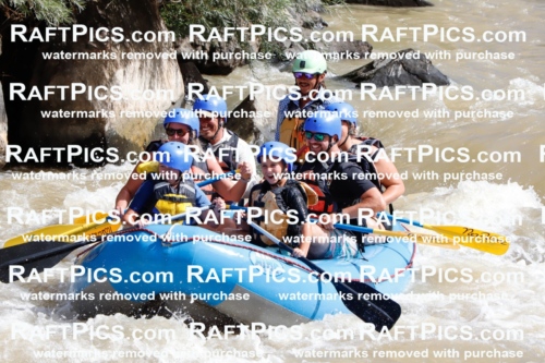 029761_RaftPics_August_28_NewWave_Racecourse_AM_Orlando_TC_