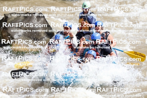 029768_RaftPics_August_28_NewWave_Racecourse_AM_Orlando_TC_