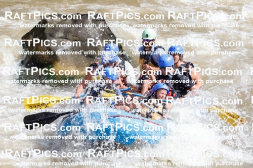 029769_RaftPics_August_28_NewWave_Racecourse_AM_Orlando_TC_