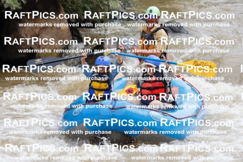 029878_RaftPics_August_29_NewWave_Racecourse_AM_Orlando_TC_