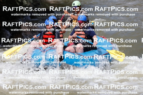 030203_RaftPics_August_31_NewWave_Racecourse_PM_Orlando_TC_