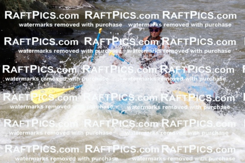 030229_RaftPics_August_31_NewWave_Racecourse_PM_Rui_TC_