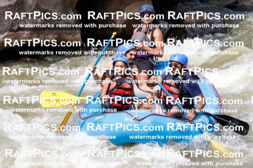 030237_RaftPics_August_31_NewWave_Racecourse_PM_Rui_TC_