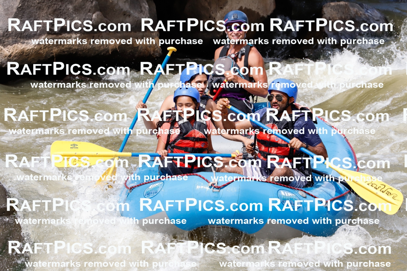 030238_RaftPics_August_31_NewWave_Racecourse_PM_Rui_TC_