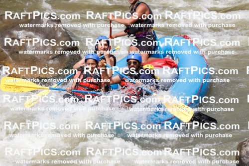 030242_RaftPics_August_31_NewWave_Racecourse_PM_Rui_TC_