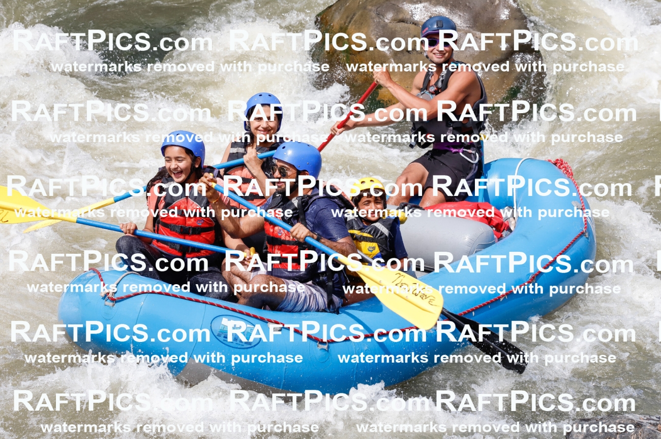 030246_RaftPics_August_31_NewWave_Racecourse_PM_Rui_TC_