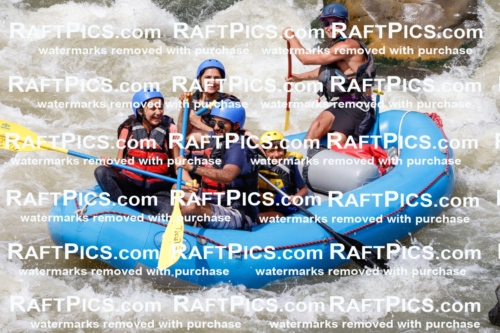 030247_RaftPics_August_31_NewWave_Racecourse_PM_Rui_TC_