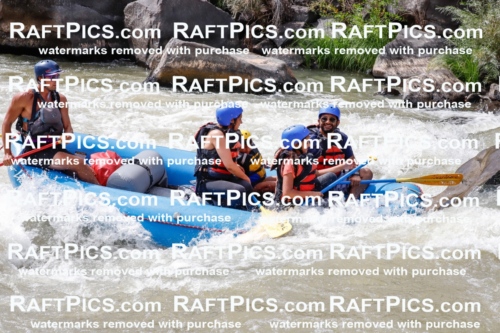 030251_RaftPics_August_31_NewWave_Racecourse_PM_Rui_TC_